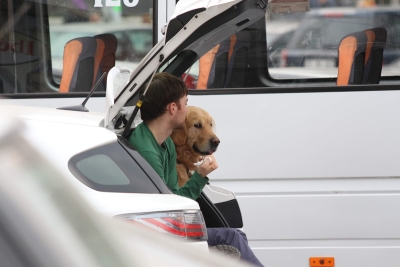Dit verandert er als je na 22 april met je hond reist